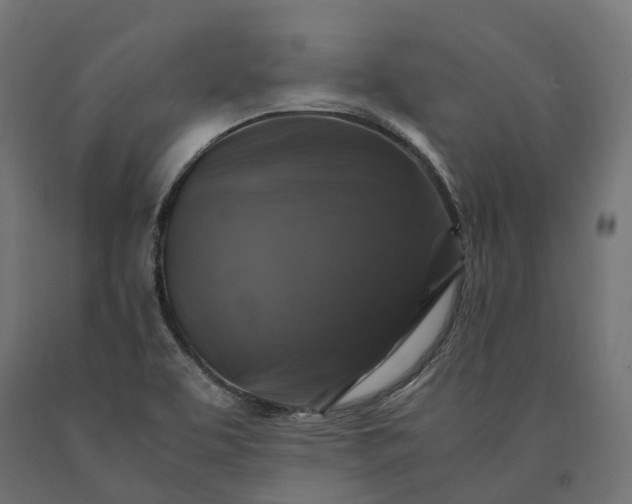 X0000090761463200708031619