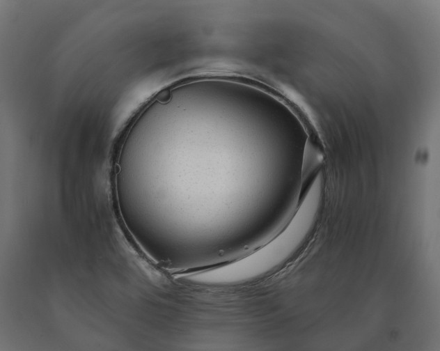 X0000090761464200708031619