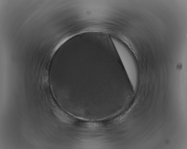 X0000090761465200708031619