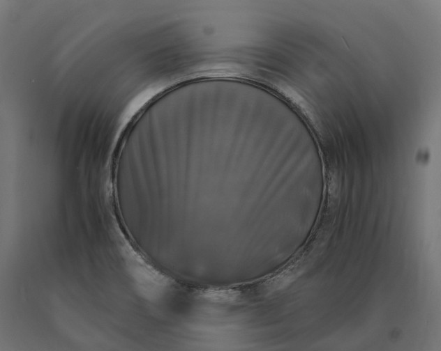 X0000090761466200708031619