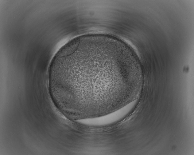 X0000090761467200708031619