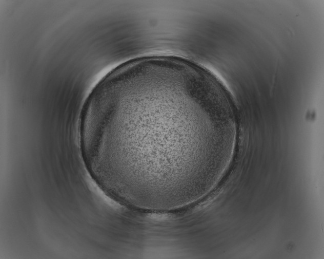 X0000090761468200708031619