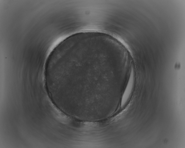 X0000090761469200708031619