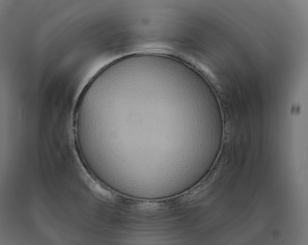 X0000090761470200708031619