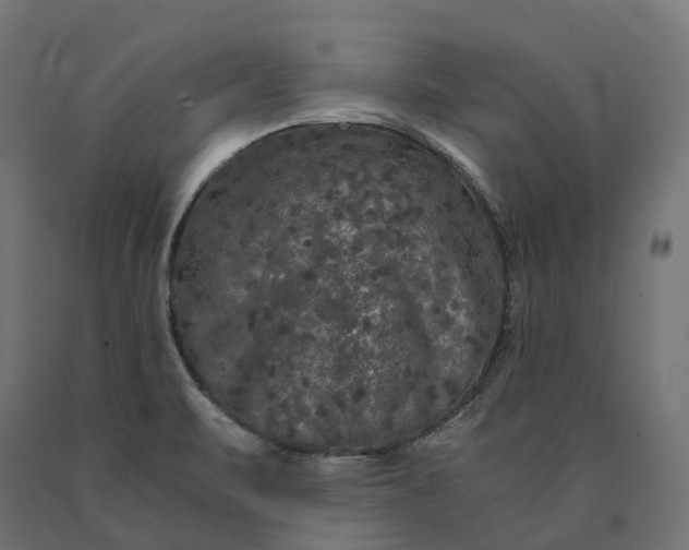 X0000090761471200708031619