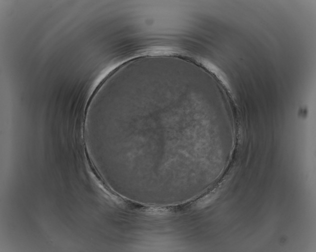 X0000090761473200708031619