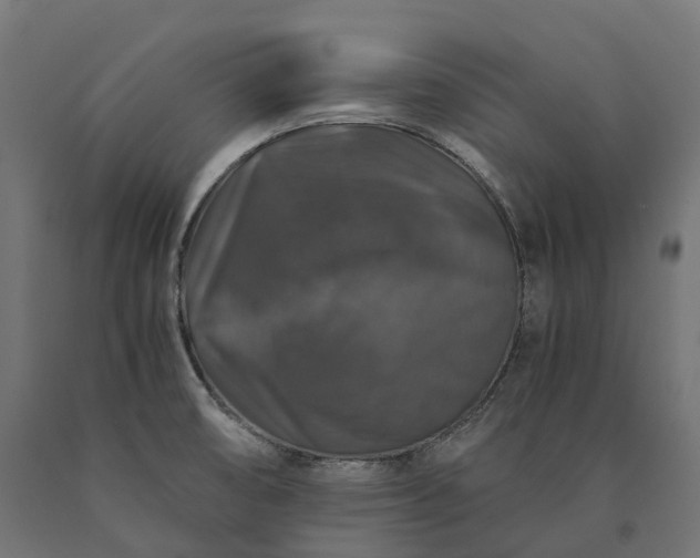 X0000090761474200708031619