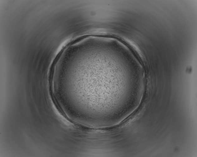 X0000090761475200708031619