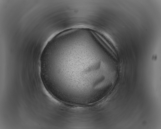 X0000090761476200708031619