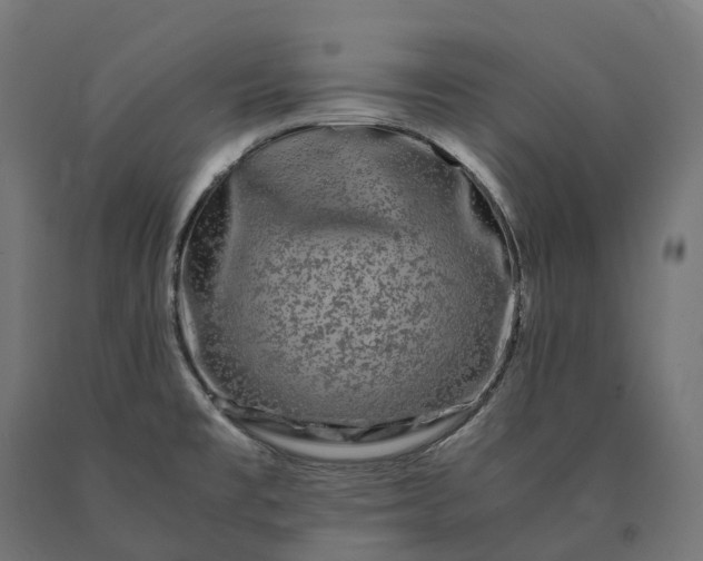 X0000090761477200708031619