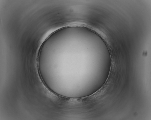 X0000090761478200708031619