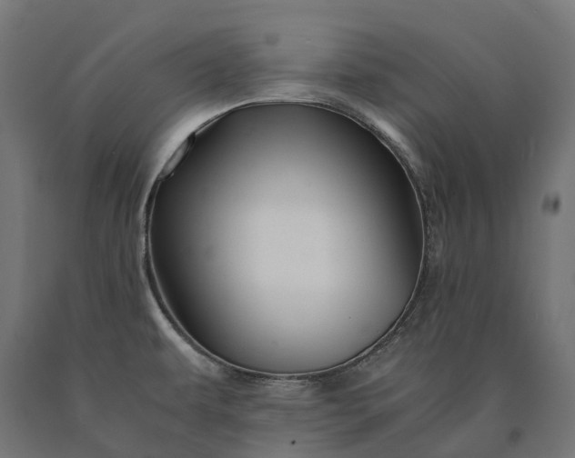 X0000090761479200708031619