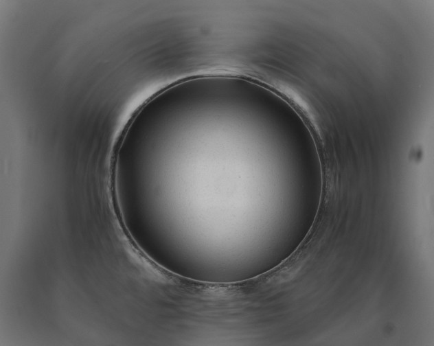 X0000090761480200708031619