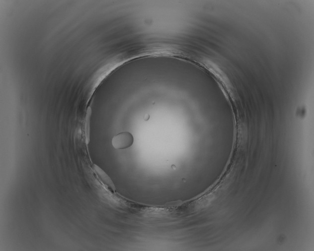 X0000090761481200708031619