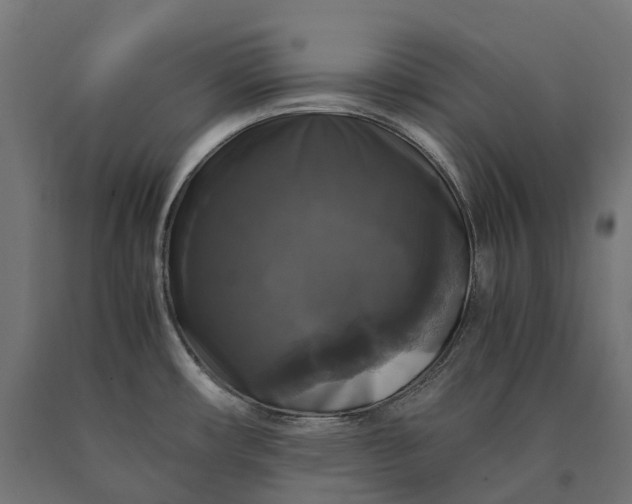 X0000090761482200708031619