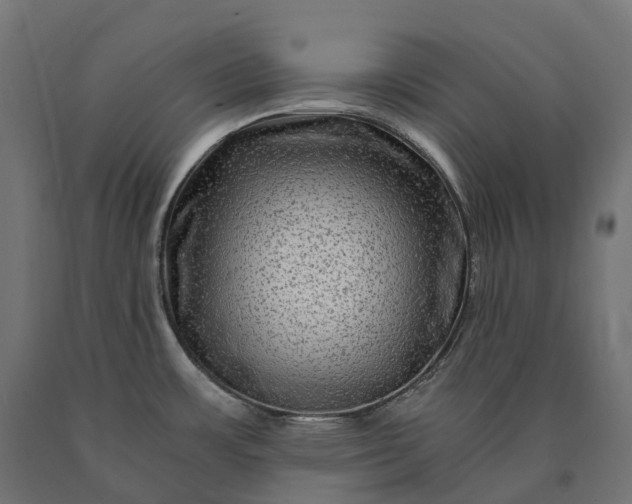 X0000090761483200708031619