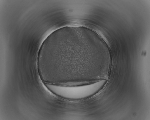 X0000090761484200708031619