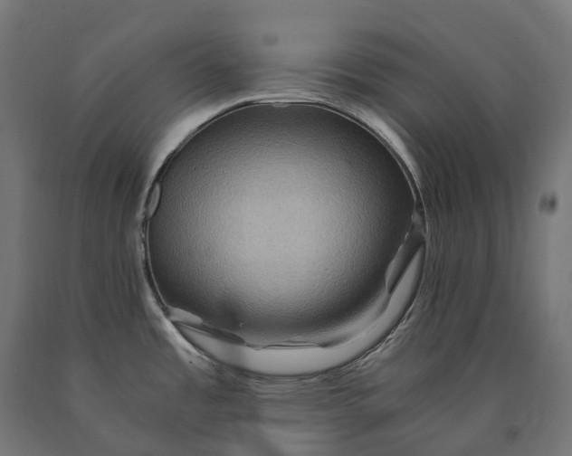 X0000090761485200708031619