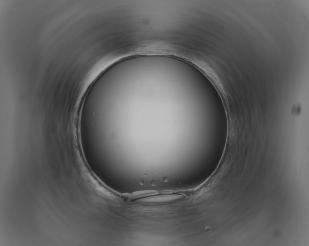 X0000090761486200708031619