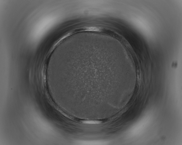 X0000090761487200708031619