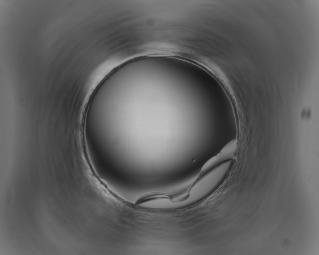 X0000090761488200708031619