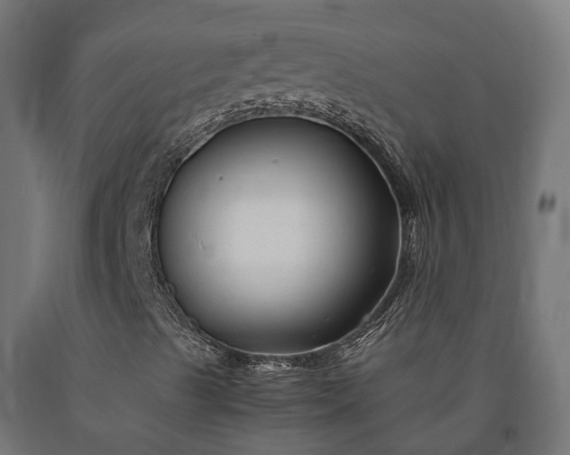 X0000090761489200708031618