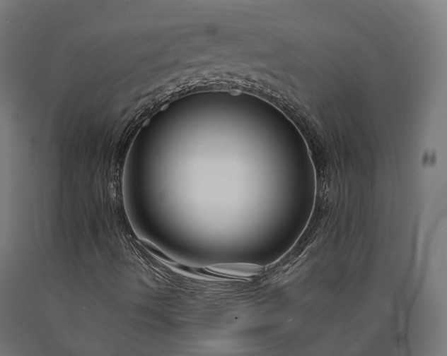 X0000090761490200708031618