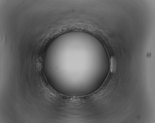 X0000090761491200708031618