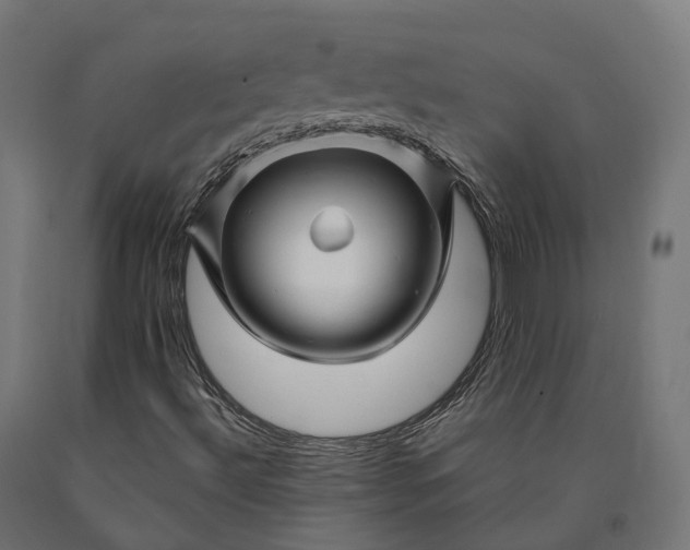 X0000090761492200708031618