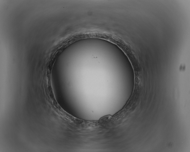 X0000090761493200708031618