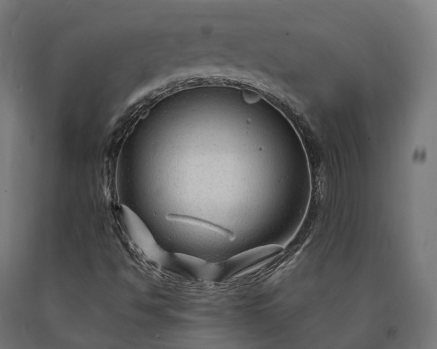 X0000090761494200708031618