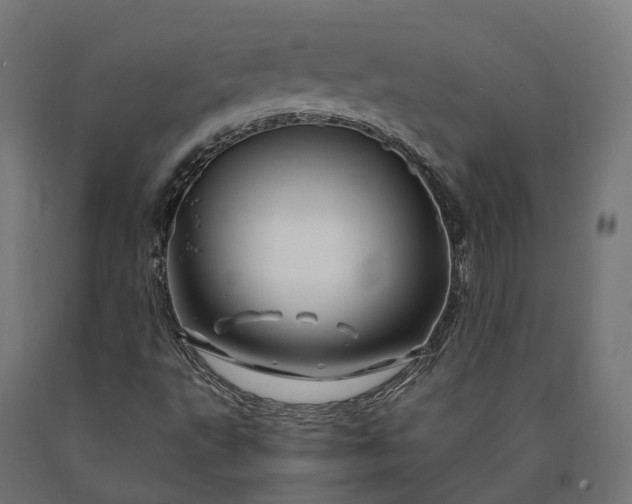 X0000090761495200708031618