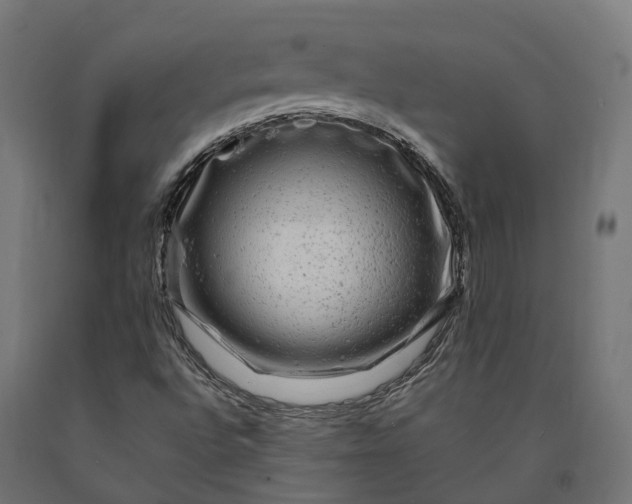 X0000090761496200708031618