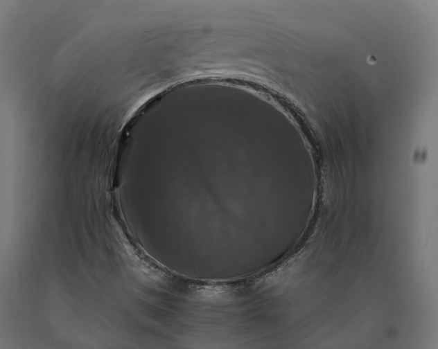 X0000090761497200708031618