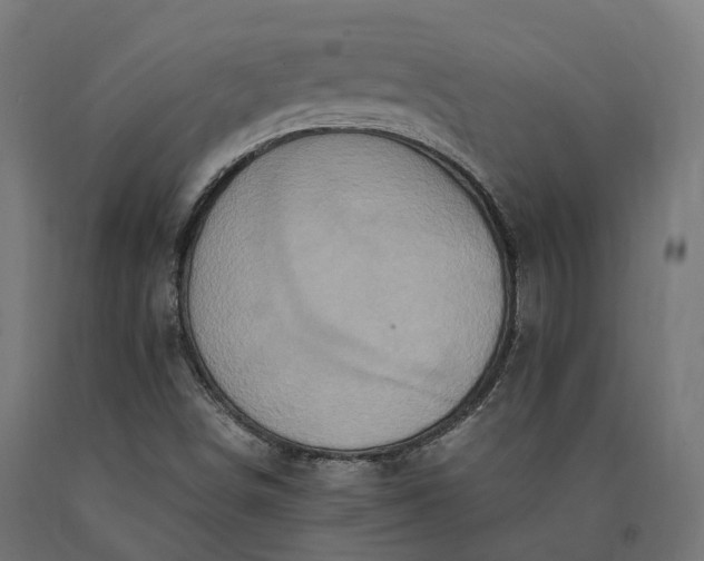 X0000090761498200708031618