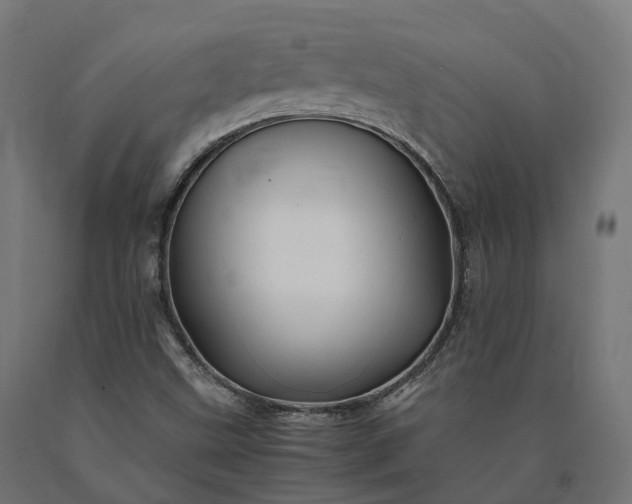 X0000090761499200708031618