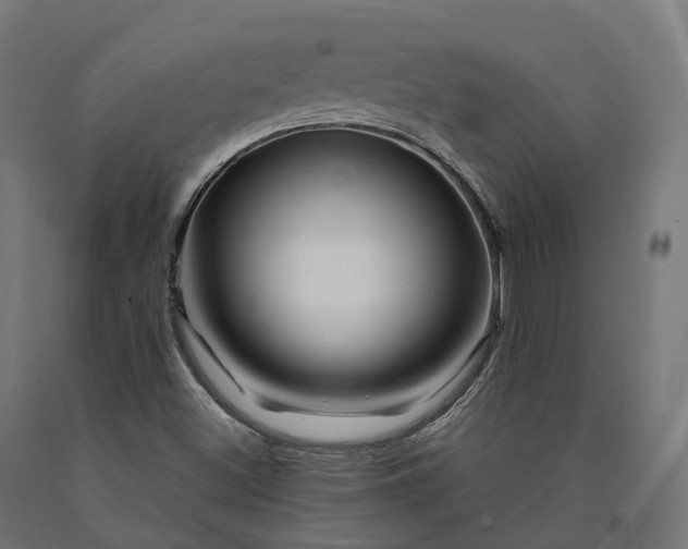 X0000090761500200708031618