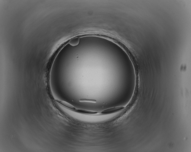 X0000090761501200708031618