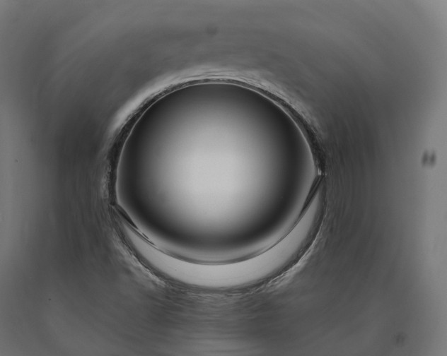 X0000090761502200708031618