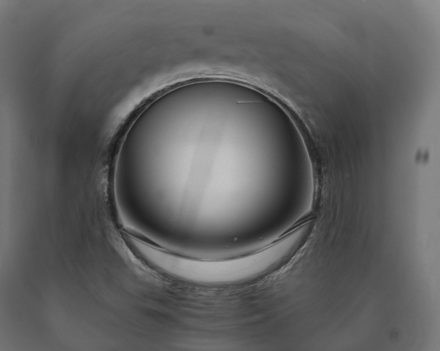 X0000090761503200708031618