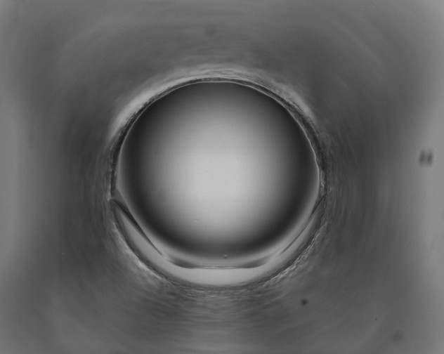 X0000090761504200708031618