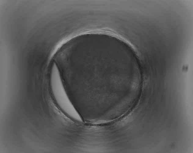 X0000090761506200708031618