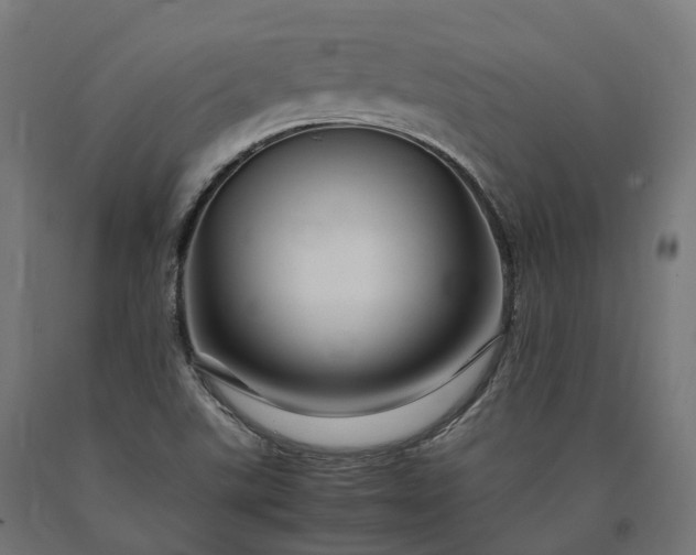 X0000090761507200708031618