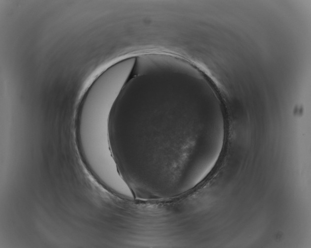 X0000090761508200708031618