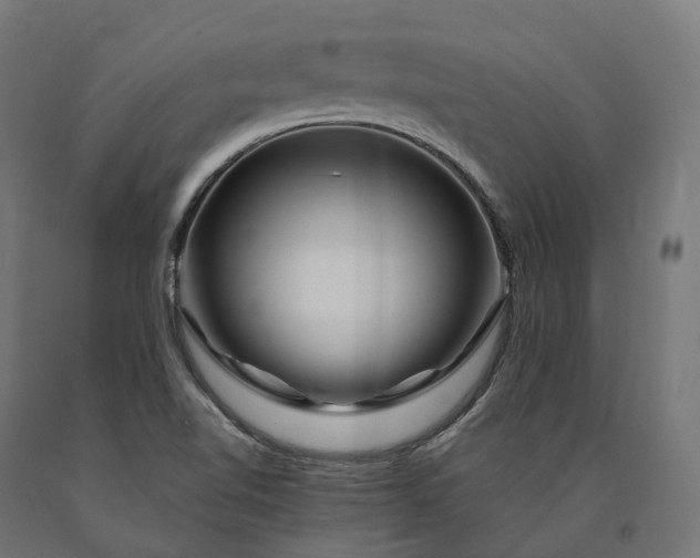 X0000090761510200708031618