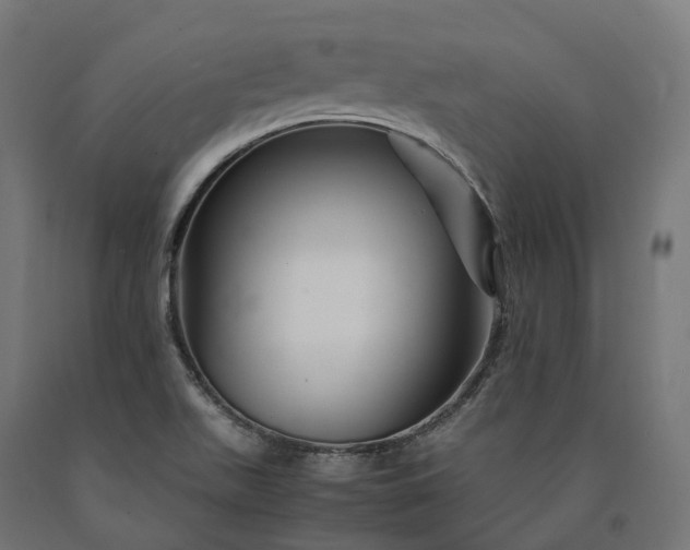 X0000090761511200708031618