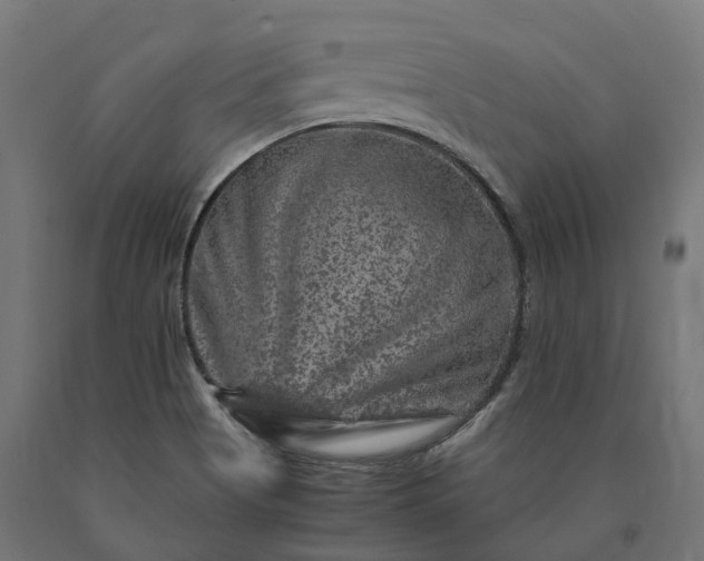 X0000090761513200708031618