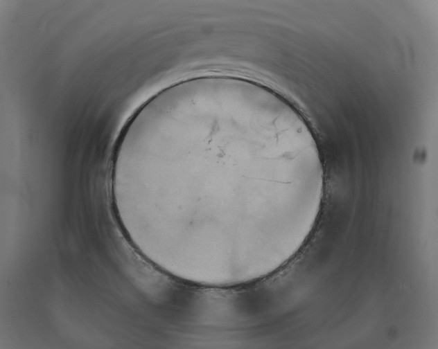 X0000090761514200708031618