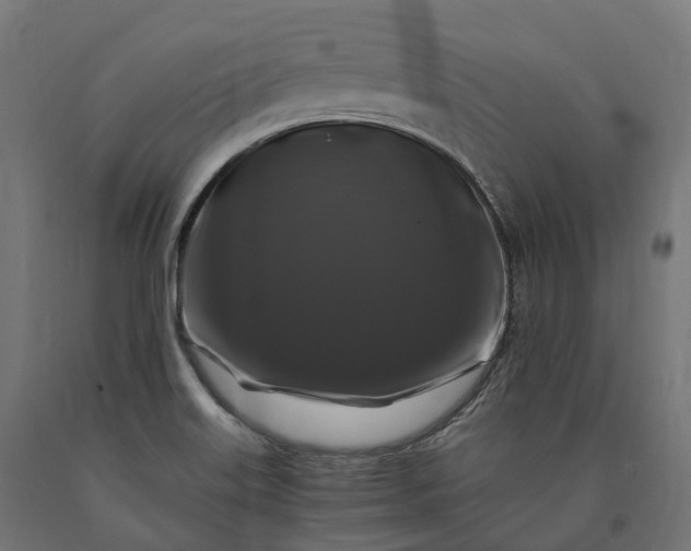 X0000090761515200708031618