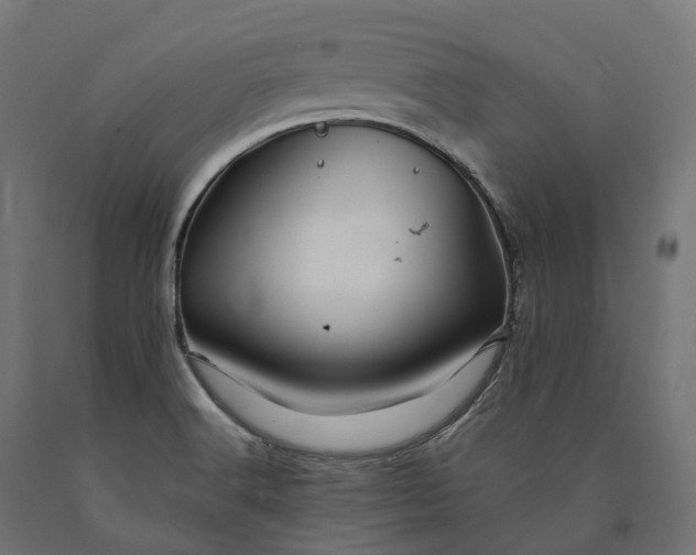 X0000090761516200708031618